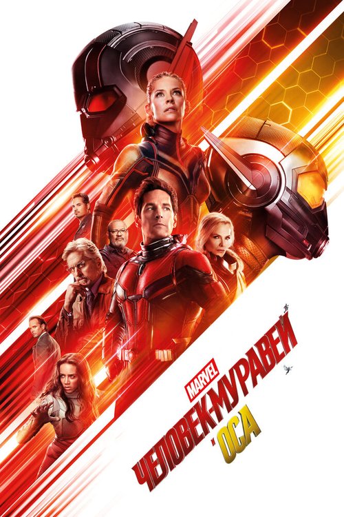 Обложка (Постер) Человек-муравей и Оса / Ant-Man and the Wasp (2018) HDRip Обложка (Постер) Человек-муравей и Оса / Ant-Man and the Wasp (2018) HDRip