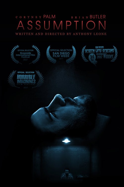 Обложка (Постер) Допущение / Assumption (2017) Обложка (Постер) Допущение / Assumption (2017)