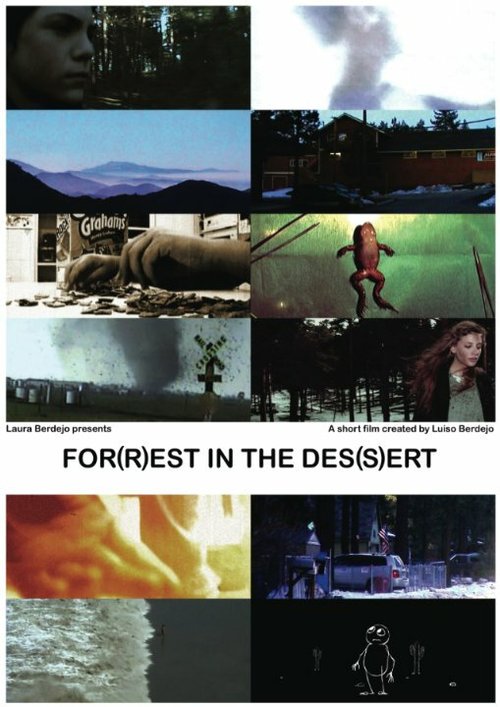 Обложка (Постер) For(r)est in the Des(s)ert (2006) Обложка (Постер) For(r)est in the Des(s)ert (2006)
