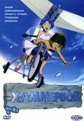 Обложка (Постер) Хаммербой / Mangchi (2003) HDRip Обложка (Постер) Хаммербой / Mangchi (2003) HDRip