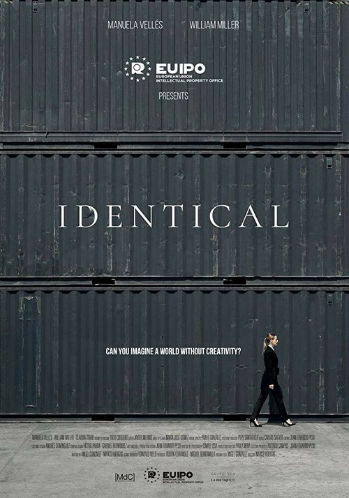 Обложка (Постер) IPdentical (2018) Обложка (Постер) IPdentical (2018)