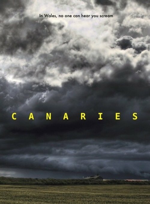 Обложка (Постер) Канарейки / Canaries (2017) HDRip Обложка (Постер) Канарейки / Canaries (2017) HDRip