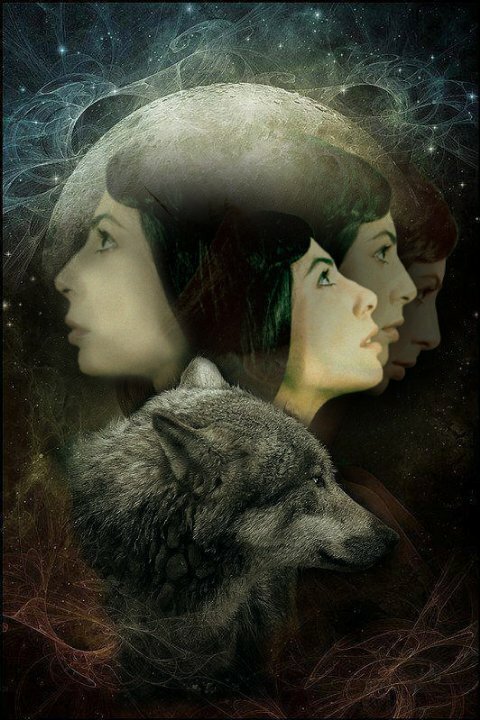 Обложка (Постер) Legend of the Wa-ya  