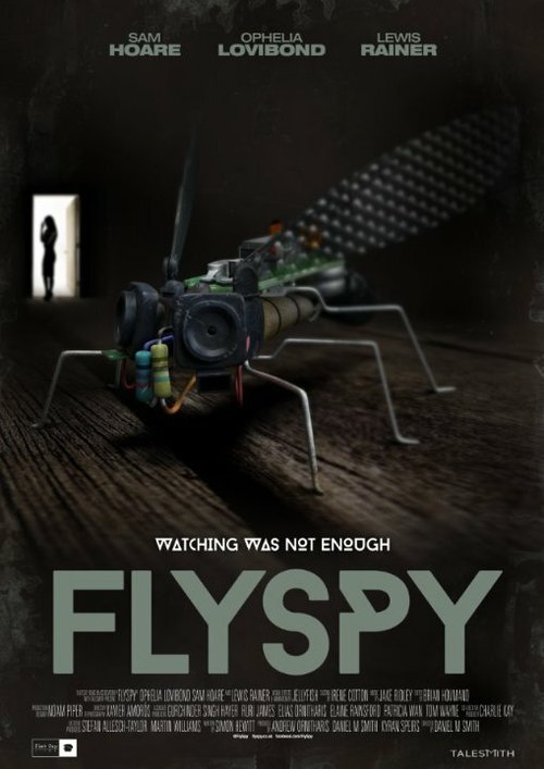 Обложка (Постер) Летающий шпион / FlySpy (2016) CAMRip Обложка (Постер) Летающий шпион / FlySpy (2016) CAMRip