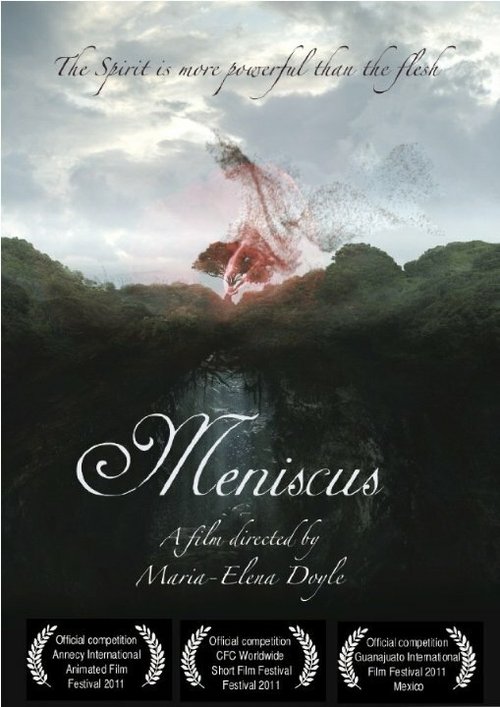 Обложка (Постер) Meniscus (2010) Обложка (Постер) Meniscus (2010)