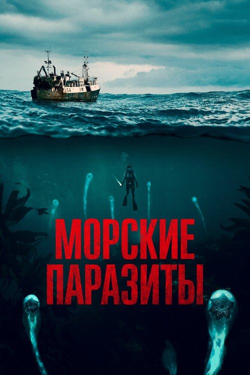 Обложка (Постер) Морские паразиты / Sea Fever (2019) HDRip Обложка (Постер) Морские паразиты / Sea Fever (2019) HDRip