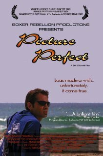 Обложка (Постер) Picture Perfect (2002) HDRip Обложка (Постер) Picture Perfect (2002) HDRip