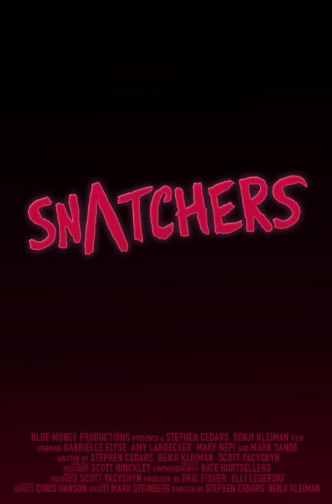 Обложка (Постер) Похитители тел / Snatchers (2015) Обложка (Постер) Похитители тел / Snatchers (2015)