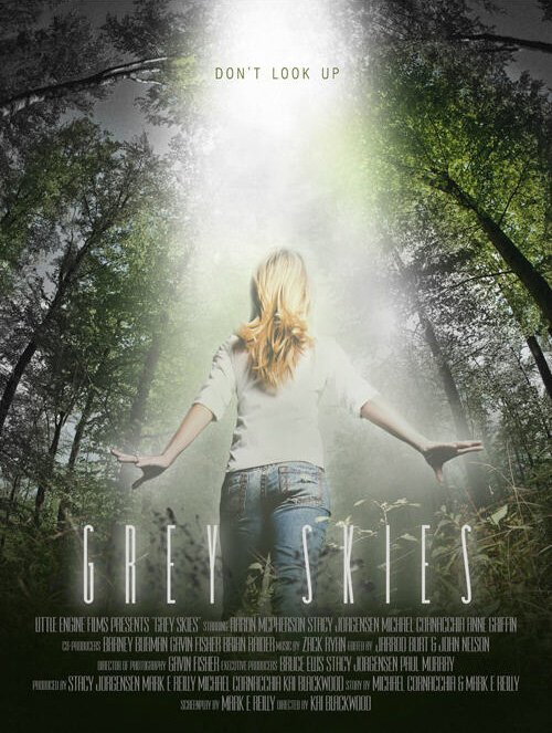 Обложка (Постер) Серые небеса / Grey Skies (2010) HDRip Обложка (Постер) Серые небеса / Grey Skies (2010) HDRip
