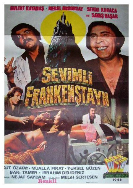 Обложка (Постер) Sevimli Frankenstayn (1975) SATRip Обложка (Постер) Sevimli Frankenstayn (1975) SATRip