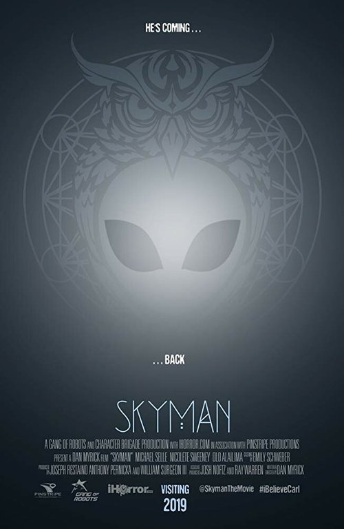 Обложка (Постер) Skyman (2019) HDRip