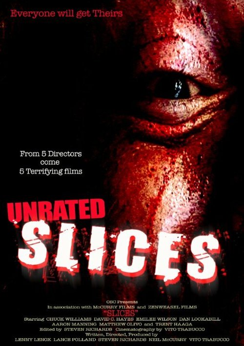 Обложка (Постер) Slices (2008) HDRip Обложка (Постер) Slices (2008) HDRip