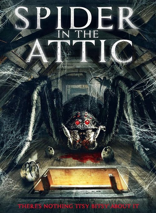 Обложка (Постер) Spider from the Attic (2021) HDRip