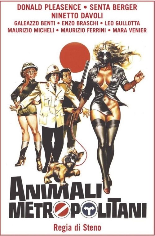 Обложка (Постер) Столичное животное / Animali metropolitani (1987) Обложка (Постер) Столичное животное / Animali metropolitani (1987)