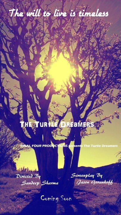 Обложка (Постер) The Turtle Dreamers  