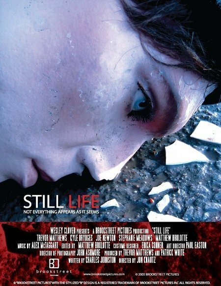 Обложка (Постер) Застывшая жизнь / Still Life (2005) Обложка (Постер) Застывшая жизнь / Still Life (2005)