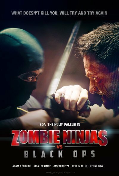 Обложка (Постер) Зомби-ниндзя против спецназа / Zombie Ninjas vs Black Ops (2015) HDRip Обложка (Постер) Зомби-ниндзя против спецназа / Zombie Ninjas vs Black Ops (2015) HDRip