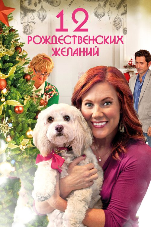 Обложка (Постер) 12 Рождественских желаний / 12 Wishes of Christmas (2011) HDRip Обложка (Постер) 12 Рождественских желаний / 12 Wishes of Christmas (2011) HDRip