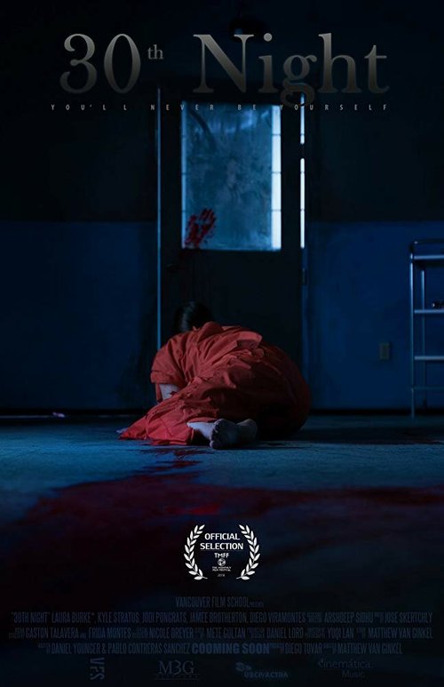 Обложка (Постер) 30-я ночь / 30th Night (2018) Обложка (Постер) 30-я ночь / 30th Night (2018)