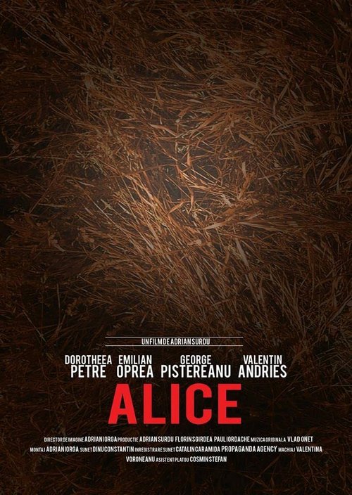 Обложка (Постер) Alice (2017) Обложка (Постер) Alice (2017)