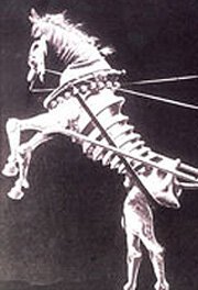 Обложка (Постер) Четыреста проделок дьявола / Les quatre cents farces du diable (1906) Обложка (Постер) Четыреста проделок дьявола / Les quatre cents farces du diable (1906)