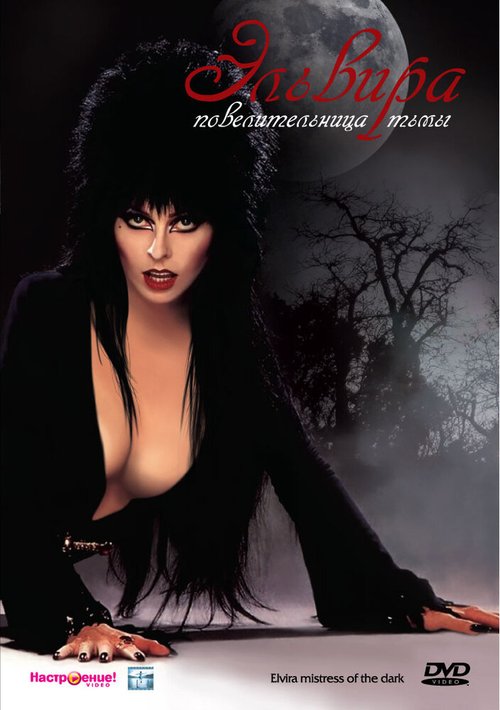 Обложка Эльвира: Повелительница тьмы / Elvira: Mistress of the Dark (1988) 