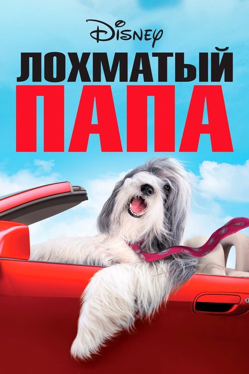 Обложка (Постер) Лохматый папа / The Shaggy Dog (2006) HDRip