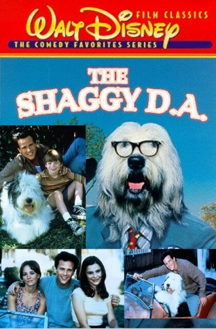 Обложка (Постер) Лохматый пес / The Shaggy Dog (1994) HDRip Обложка (Постер) Лохматый пес / The Shaggy Dog (1994) HDRip