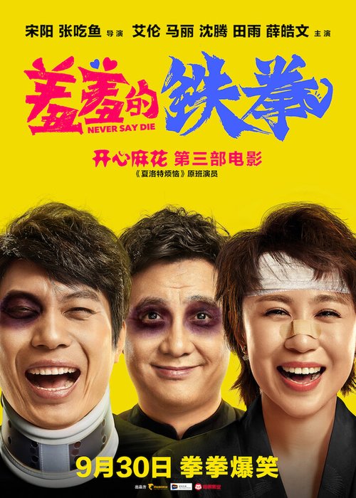 Обложка (Постер) Никогда не сдавайся / Xiu xiu de tie quan (2017) HDRip Обложка (Постер) Никогда не сдавайся / Xiu xiu de tie quan (2017) HDRip