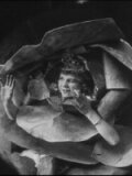 Обложка (Постер) Принцесса никотина / Princess Nicotine; or, The Smoke Fairy (1909) Обложка (Постер) Принцесса никотина / Princess Nicotine; or, The Smoke Fairy (1909)