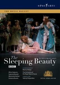Обложка (Постер) Спящая красавица / The Sleeping Beauty (2007) HDRip Обложка (Постер) Спящая красавица / The Sleeping Beauty (2007) HDRip