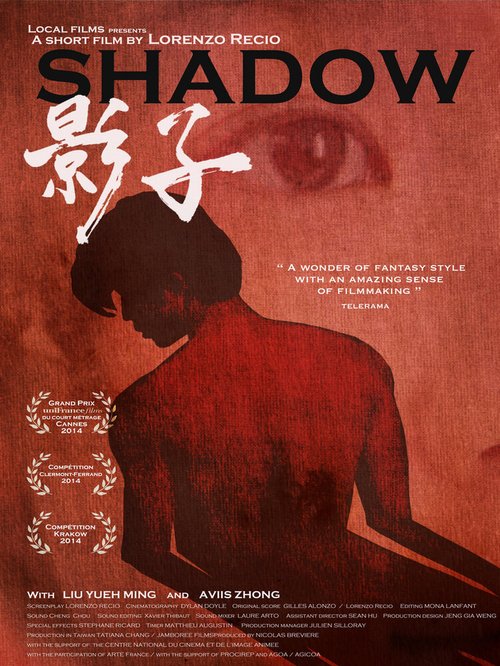 Обложка (Постер) Тень / Shadow (2014) HDRip Обложка (Постер) Тень / Shadow (2014) HDRip