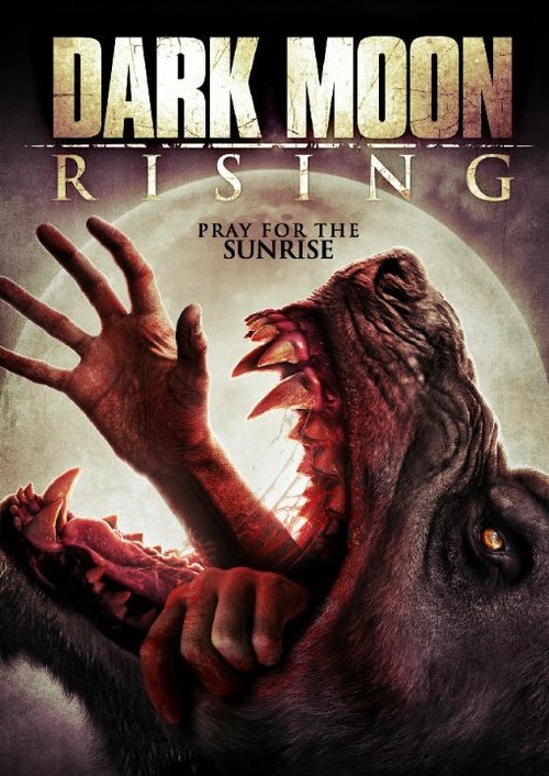 Обложка (Постер) Восход тёмной луны / Dark Moon Rising (2015) HDRip Обложка (Постер) Восход тёмной луны / Dark Moon Rising (2015) HDRip