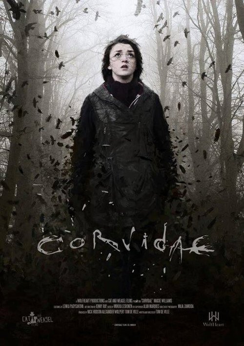Обложка (Постер) Врановые / Corvidae (2018) 