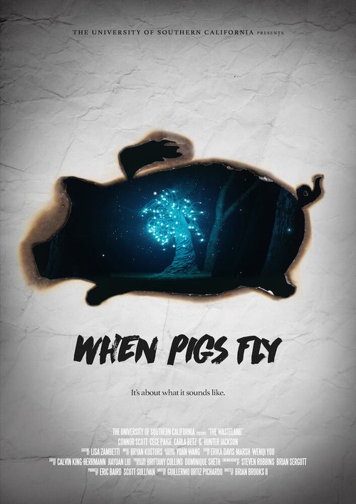 Обложка (Постер) When Pigs Fly (2017) 