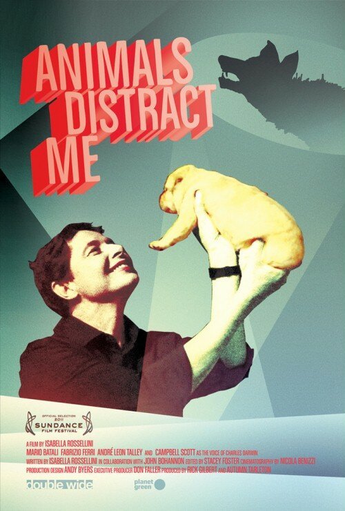 Обложка (Постер) Животные меня отвлекают / Animals Distract Me (2011) Обложка (Постер) Животные меня отвлекают / Animals Distract Me (2011)
