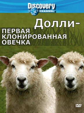 Обложка (Постер) Discovery: Долли — первая клонированная овечка / Dolly: The First Cloned Sheep (2006) HDRip Обложка (Постер) Discovery: Долли — первая клонированная овечка / Dolly: The First Cloned Sheep (2006) HDRip