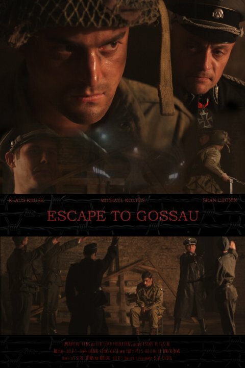 Обложка (Постер) Escape to Gossau (2013) Обложка (Постер) Escape to Gossau (2013)