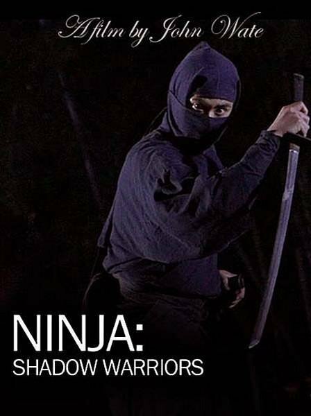Обложка (Постер) Ниндзя: Воины-тени / Ninja Shadow Warriors (2012) HDRip Обложка (Постер) Ниндзя: Воины-тени / Ninja Shadow Warriors (2012) HDRip