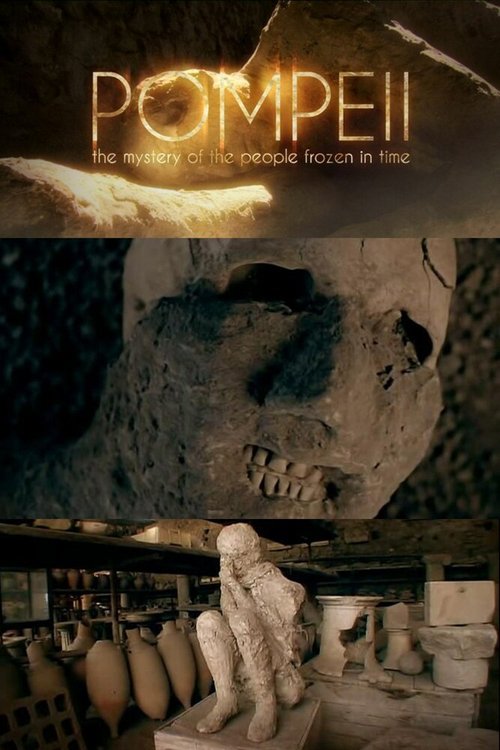 Обложка (Постер) Помпеи: Застывшие во времени / Pompeii: The Mystery of the People Frozen in Time (2013) HDRip Обложка (Постер) Помпеи: Застывшие во времени / Pompeii: The Mystery of the People Frozen in Time (2013) HDRip