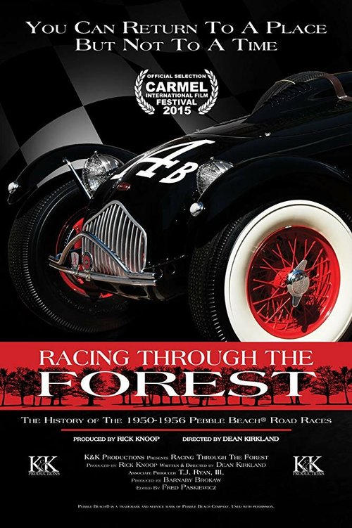 Обложка (Постер) Racing Through the Forest (2016) CAMRip