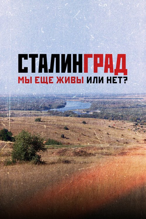 Обложка (Постер) Сталинград. Мы еще живы или нет? (2018) HDRip