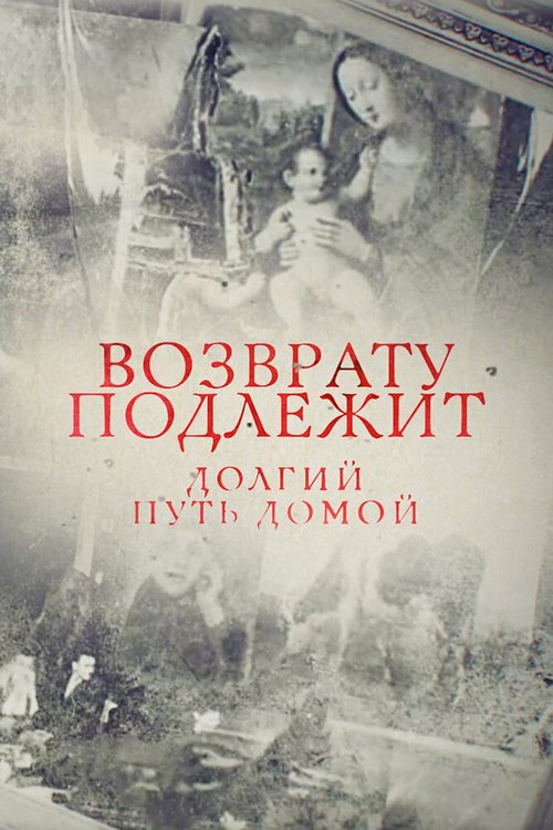 Обложка (Постер) Возврату подлежит. Долгий путь домой (2016) CAMRip
