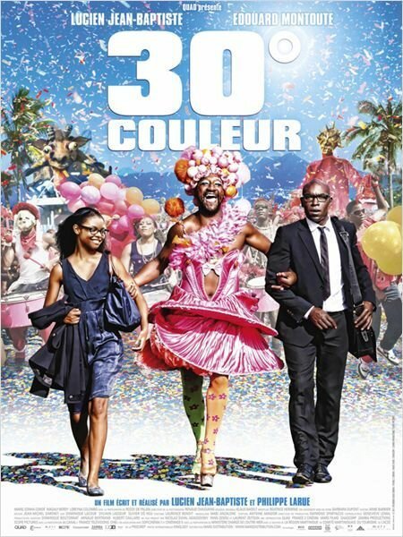 Обложка (Постер) 30 градусов цвета / 30° couleur (2012) HDRip