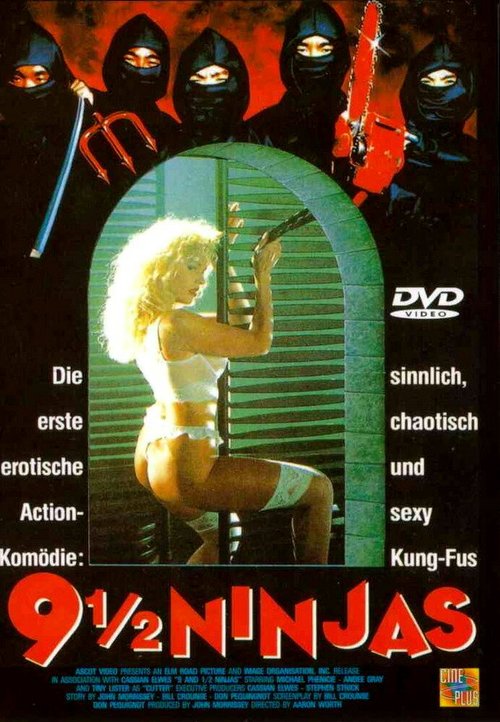 Обложка (Постер) 9 с половиной ниндзя / 9 1/2 Ninjas! (1991) HDRip Обложка (Постер) 9 с половиной ниндзя / 9 1/2 Ninjas! (1991) HDRip
