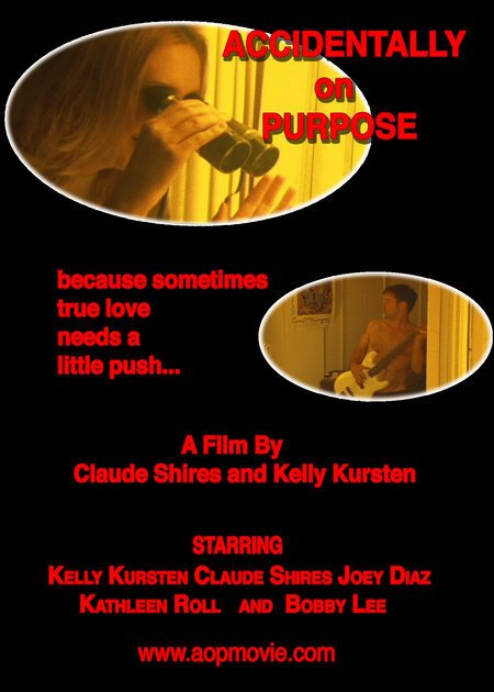 Обложка (Постер) Accidentally on Purpose (2005) HDRip