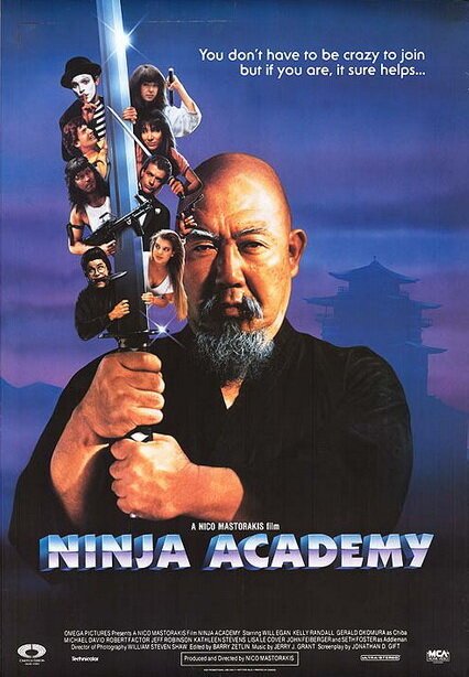 Обложка (Постер) Академия ниндзя / Ninja Academy (1989) SATRip