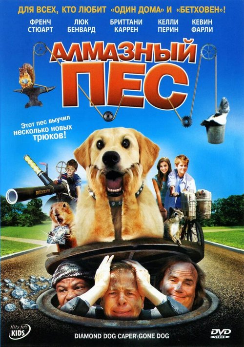 Обложка (Постер) Алмазный пес / Dog Gone (2008) HDRip