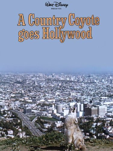 Обложка (Постер) Американский волк идет в Голливуд / A Country Coyote Goes Hollywood (1965) SATRip Обложка (Постер) Американский волк идет в Голливуд / A Country Coyote Goes Hollywood (1965) SATRip