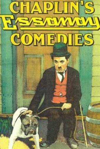Обложка (Постер) Бегство в автомобиле / A Jitney Elopement (1915) SATRip